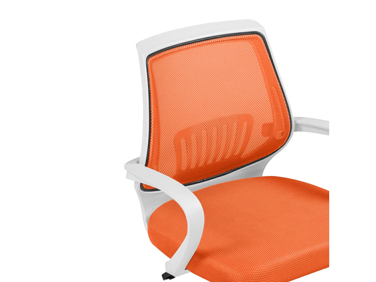   Ergoplus orange  / white