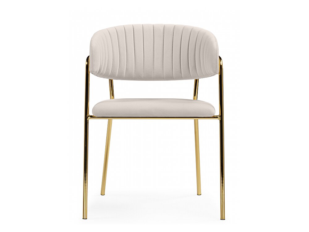 ���� �� �������������� Kamelia ������� / �������