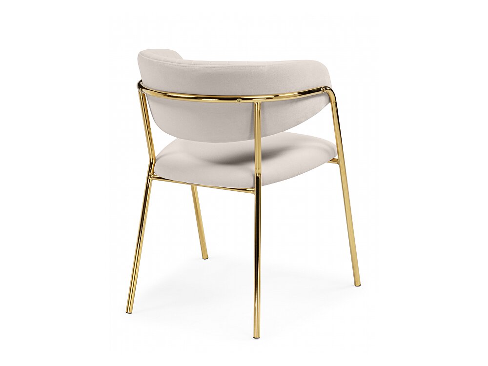 ���� �� �������������� Kamelia ������� / �������