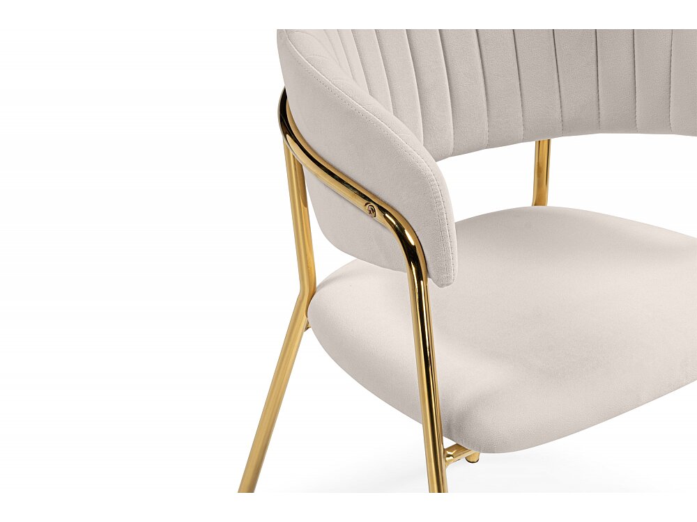 ���� �� �������������� Kamelia ������� / �������