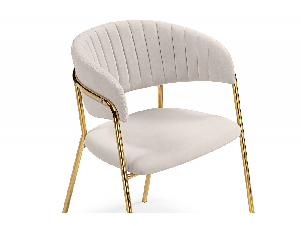 ���� �� �������������� Kamelia ������� / �������