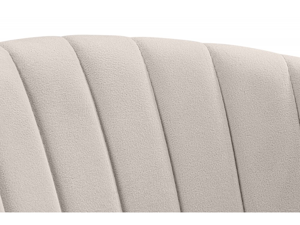 ���� �� �������������� Kamelia ������� / �������