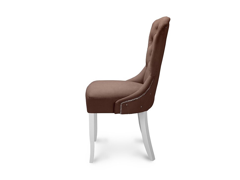 ���� �������