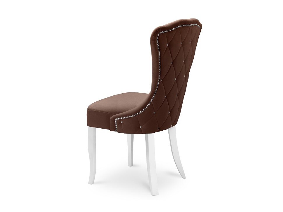 ���� �������