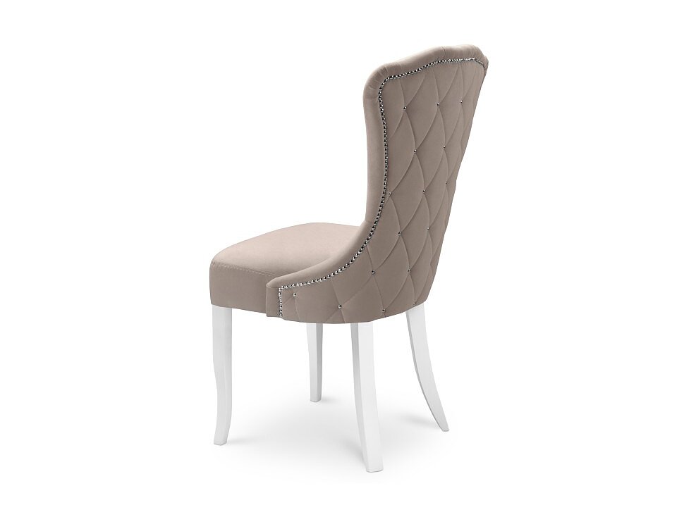 ���� �������