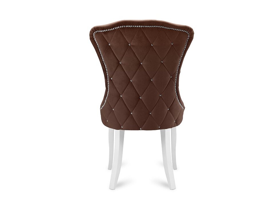 ���� �������