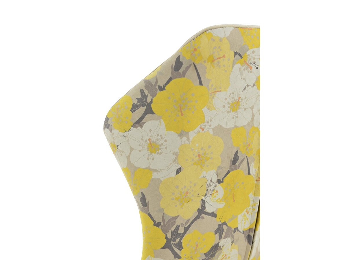 ���� ������ �ϻ, ����� ������, ������ ����� �� ������������� ��� ������� ������������