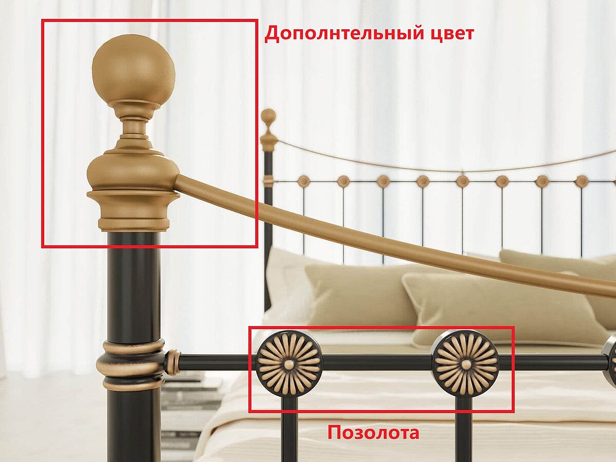  Dream Master First (1 )