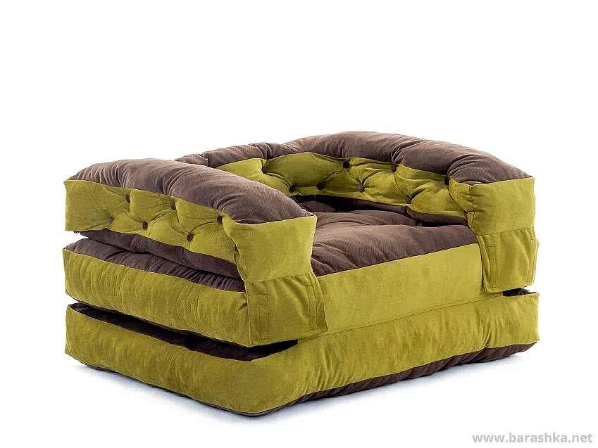 ������ ������ ����� ����/����������