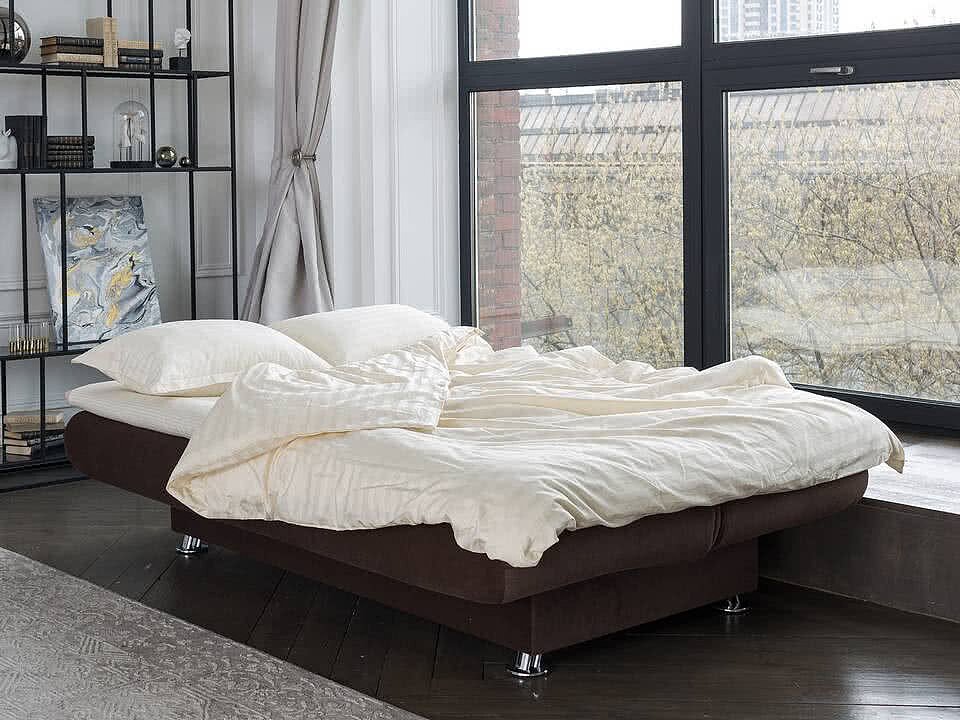 -  Easy Light Middle next Shaggy