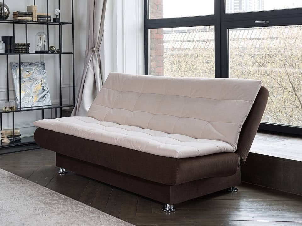 -  Easy Light Middle next Shaggy