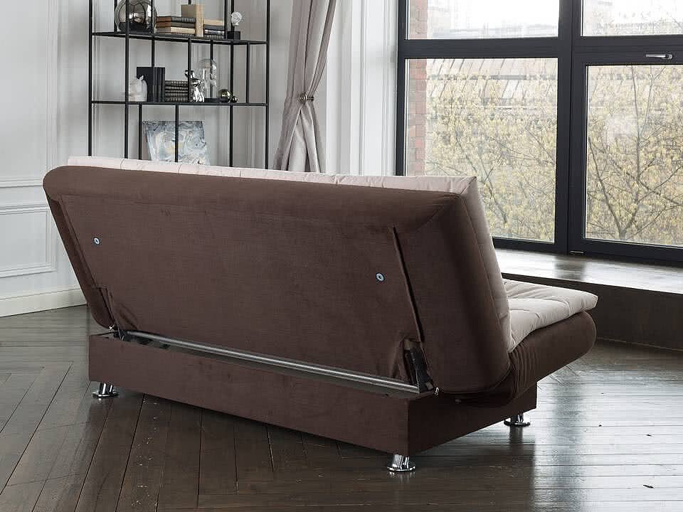 -  Easy Light Middle next Shaggy