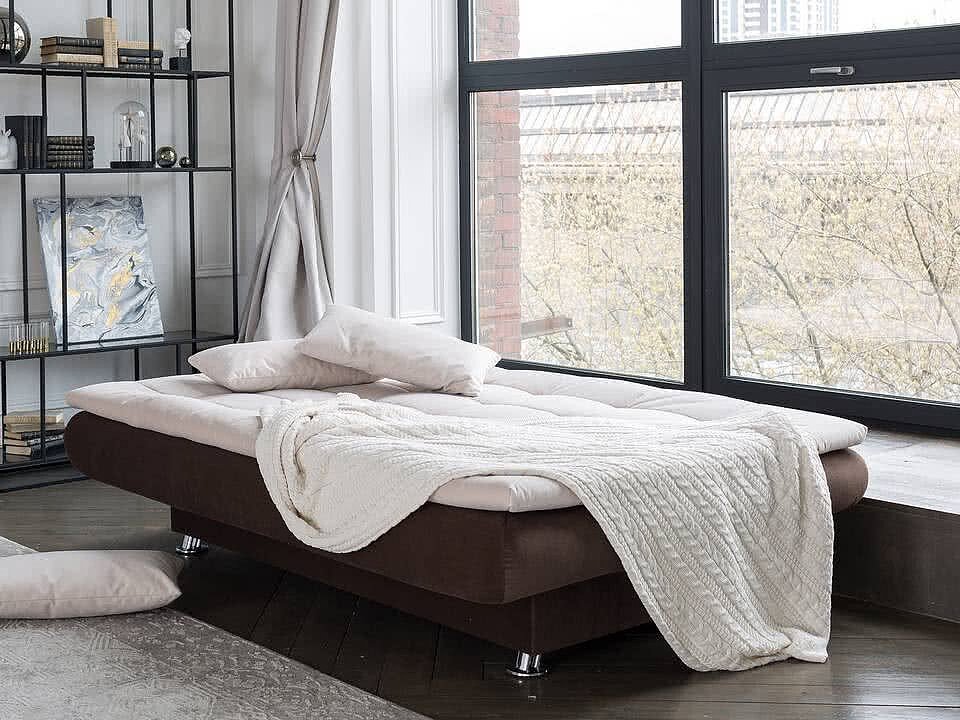 -  Easy Light Middle next Shaggy