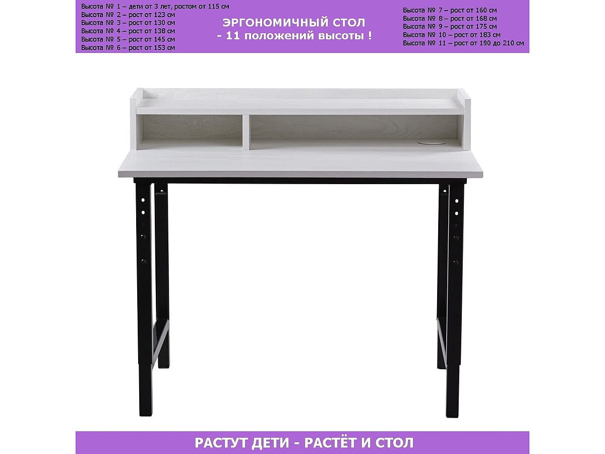 ����� ����� ���� ����� 5 � ������ ����