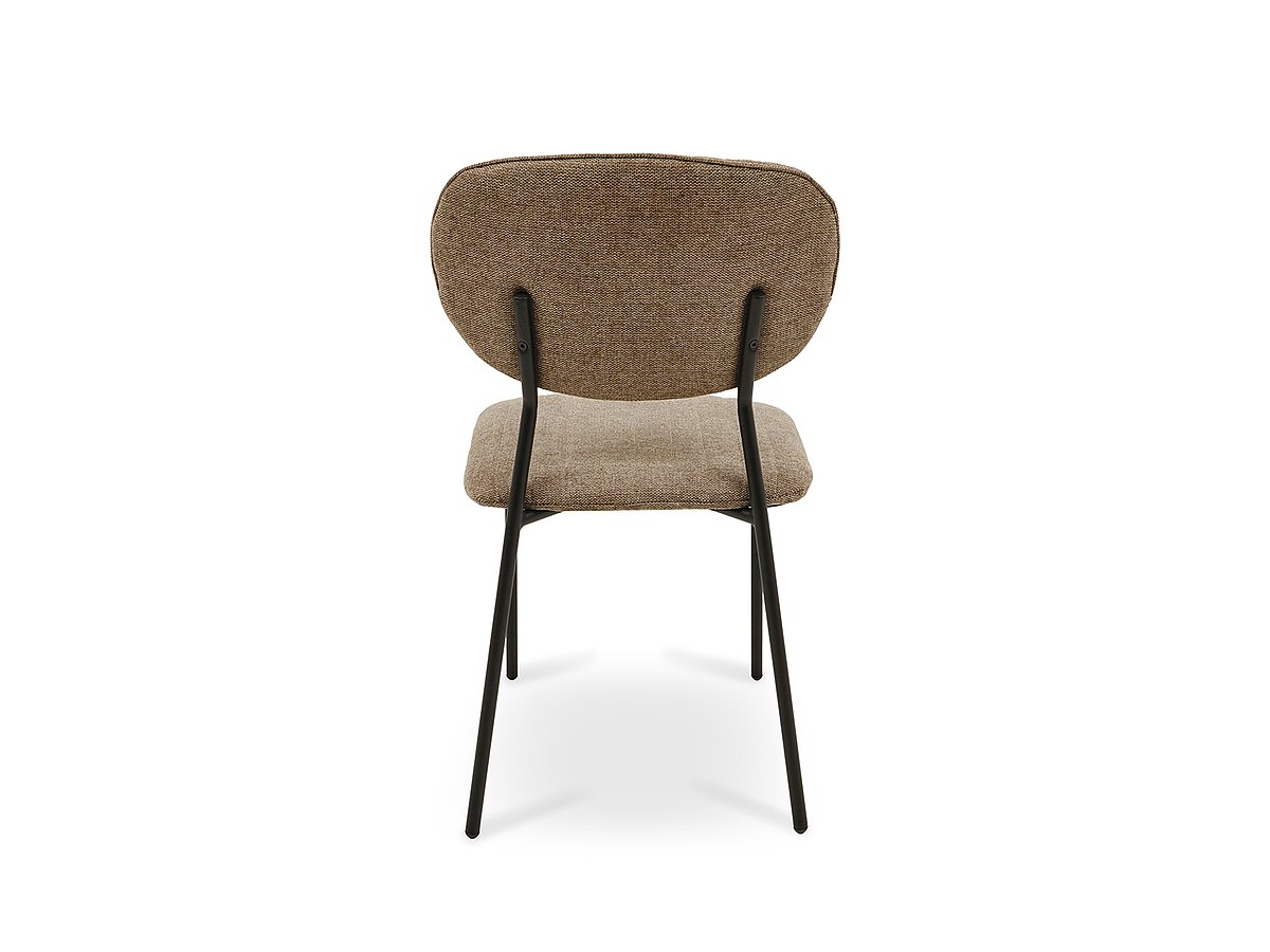 ���� �������