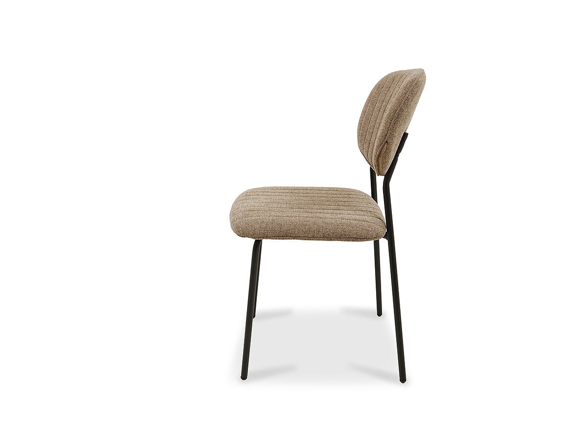 ���� �������