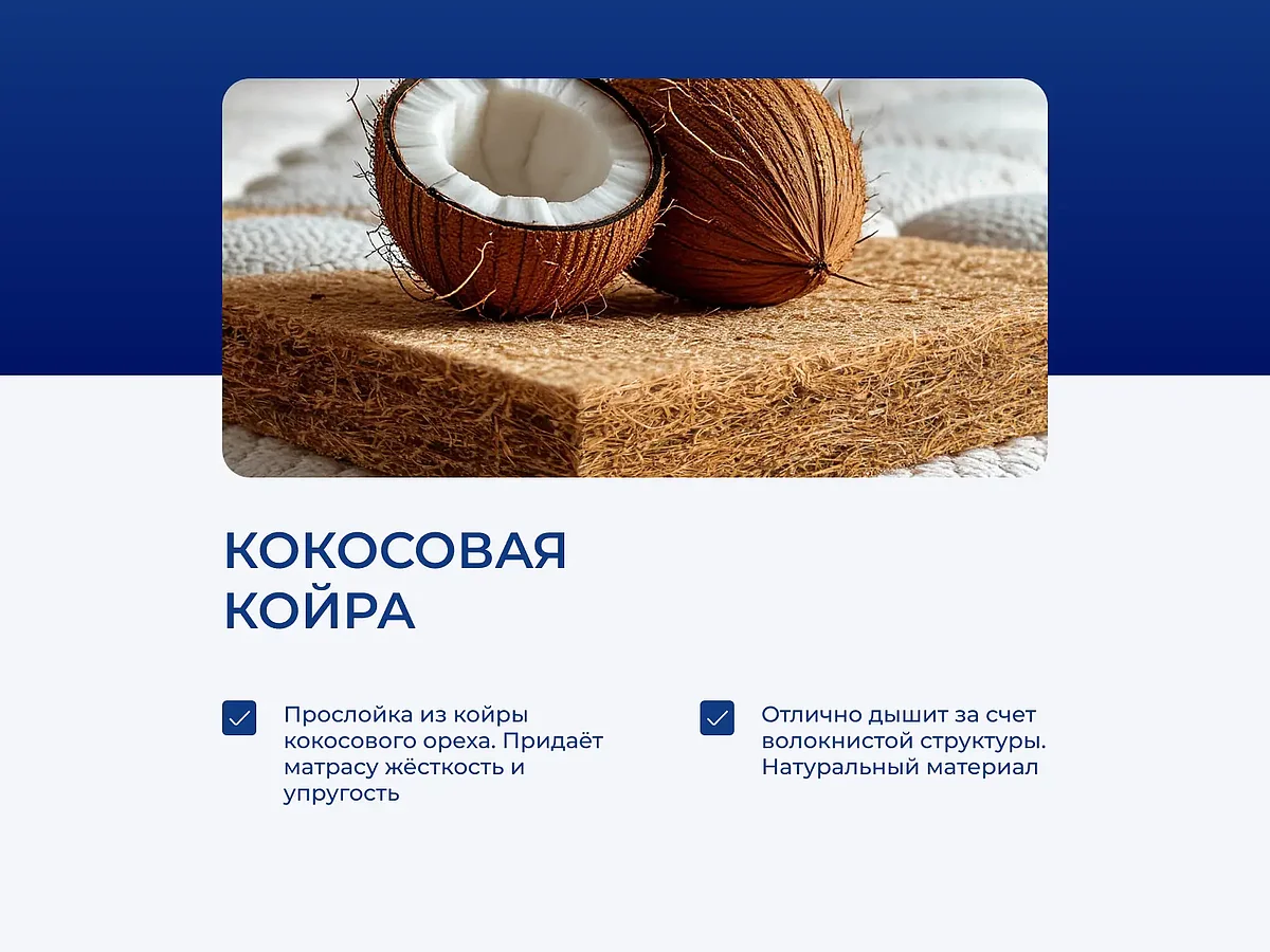  DreamLine Kombi 3 TFK