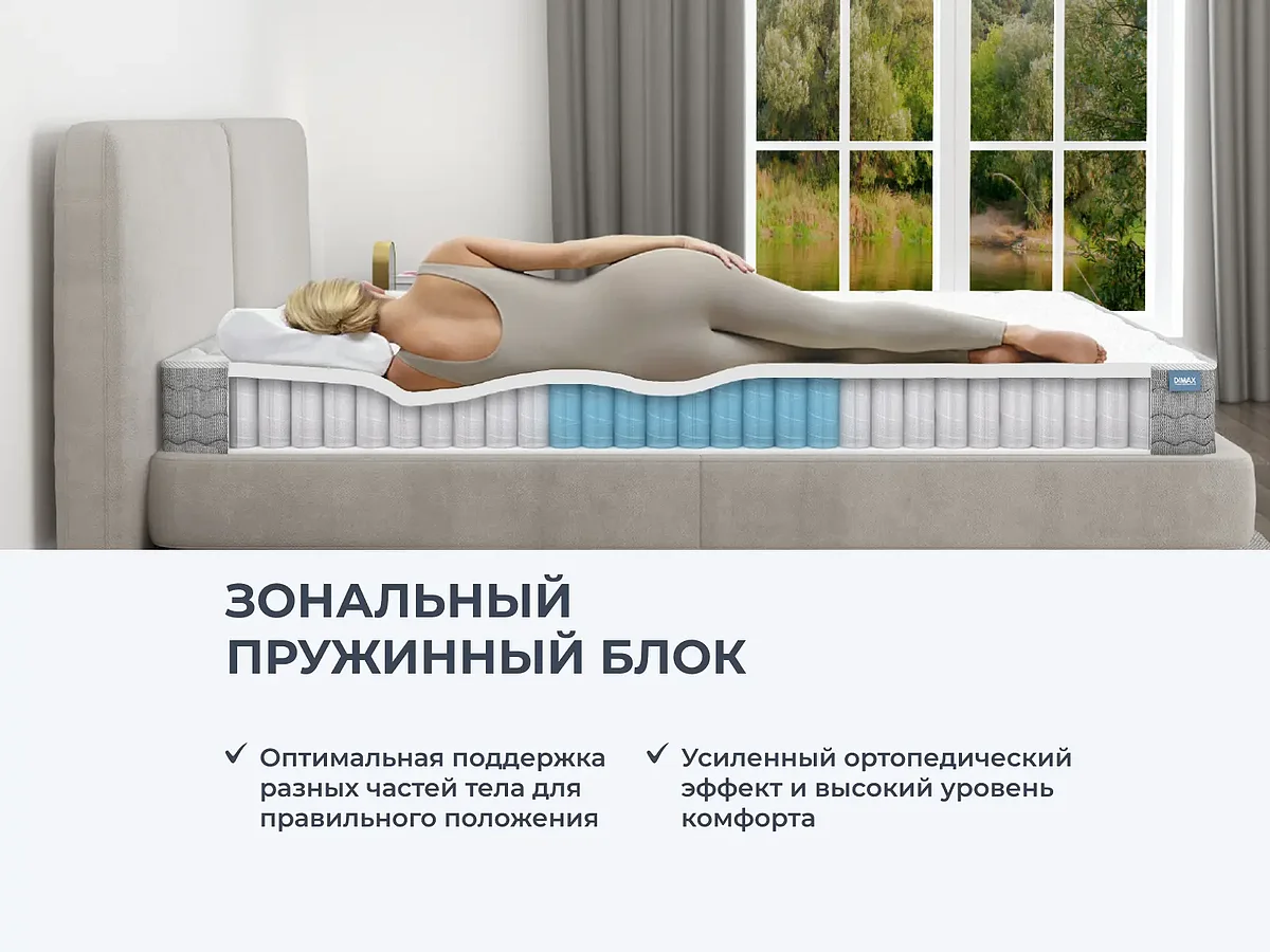 ������ Dimax �� ������� ����