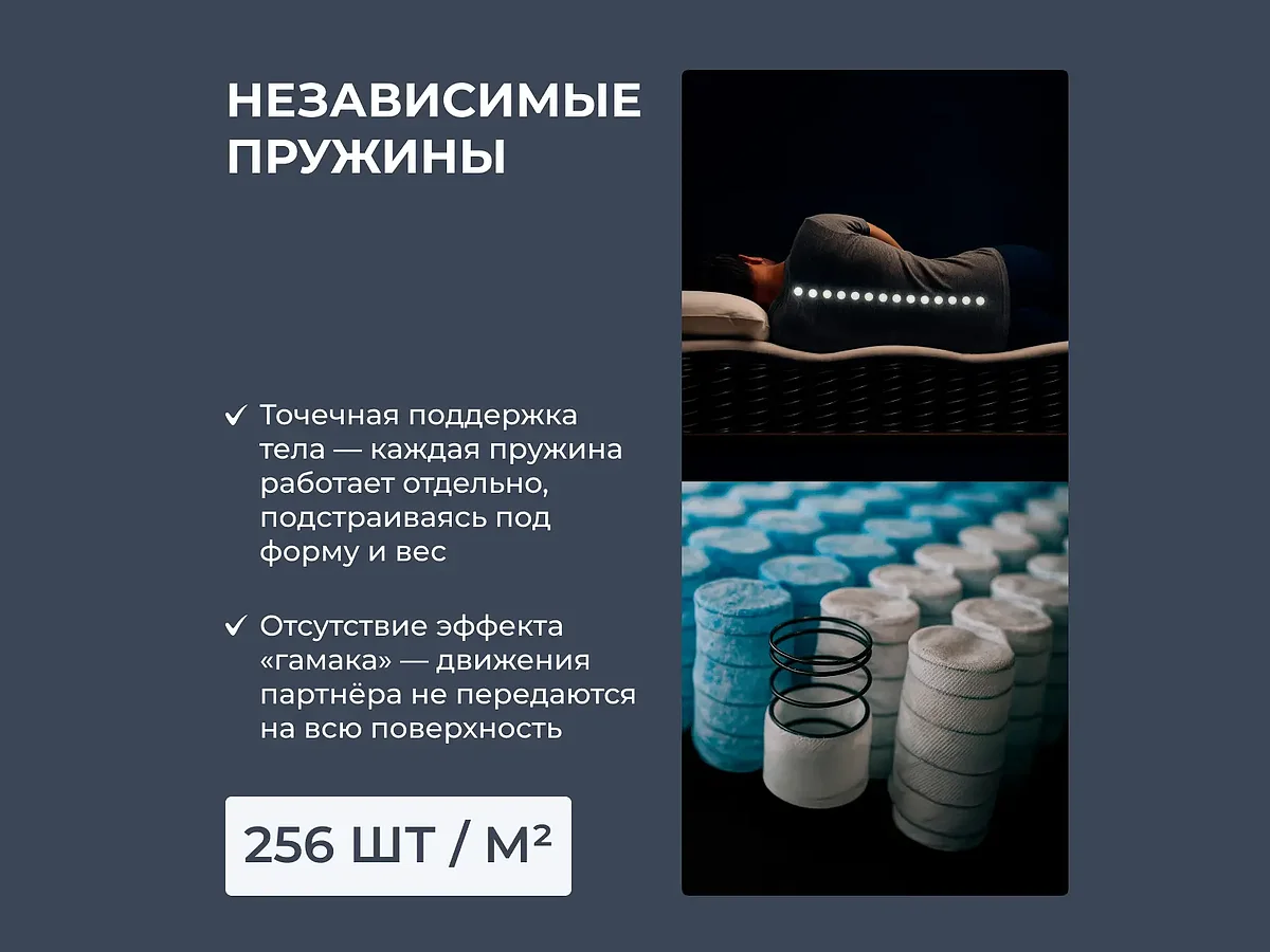 ������ Dimax �� ������� ����