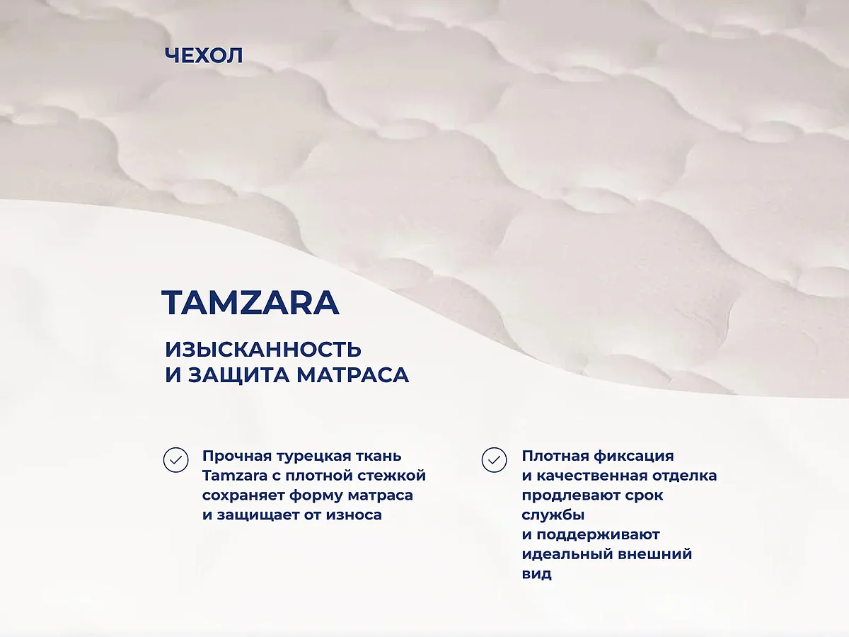 ������ Latrix ������