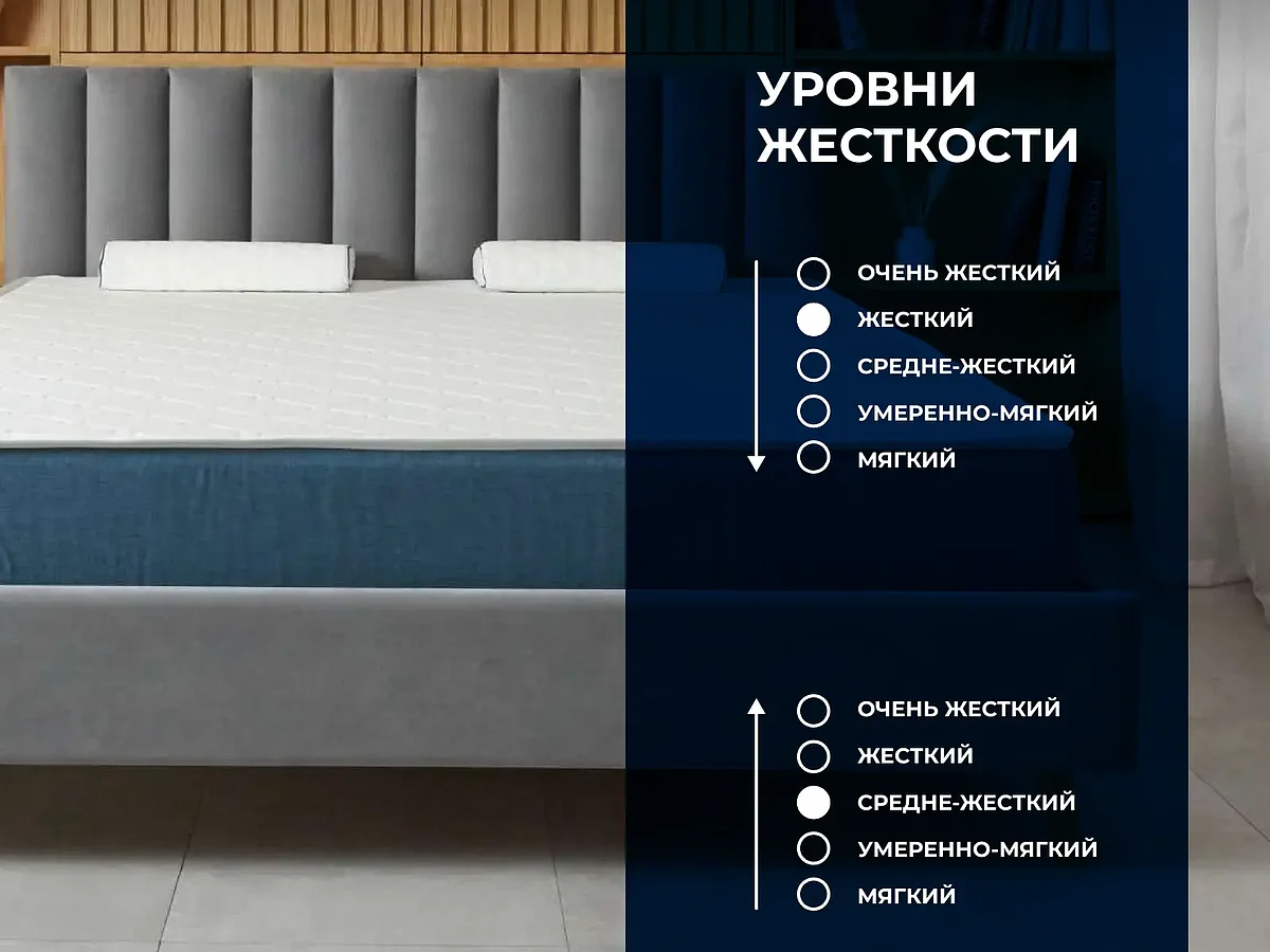 ������ Dimax ������� 29 �����