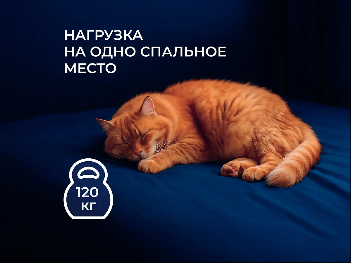  DreamLine Kombi 3 TFK