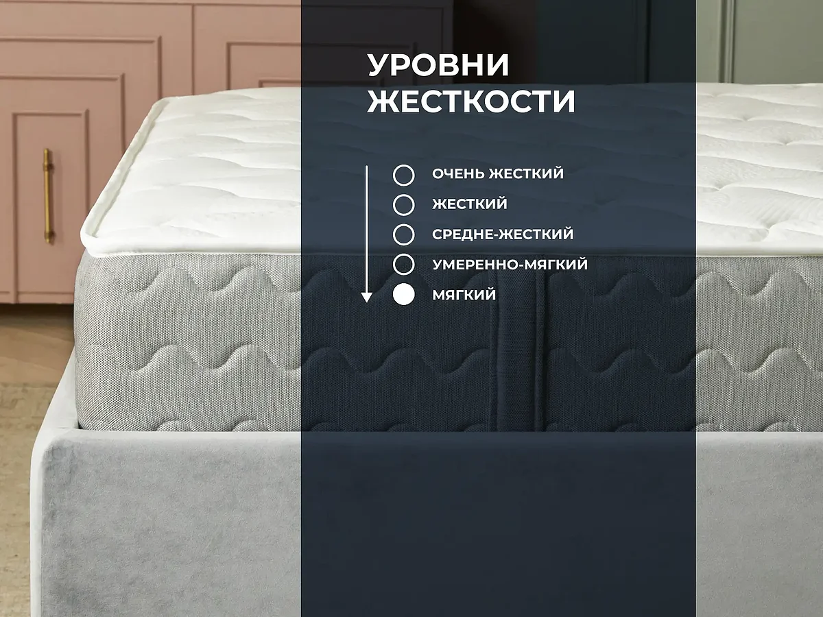 ������ Dimax �� �����