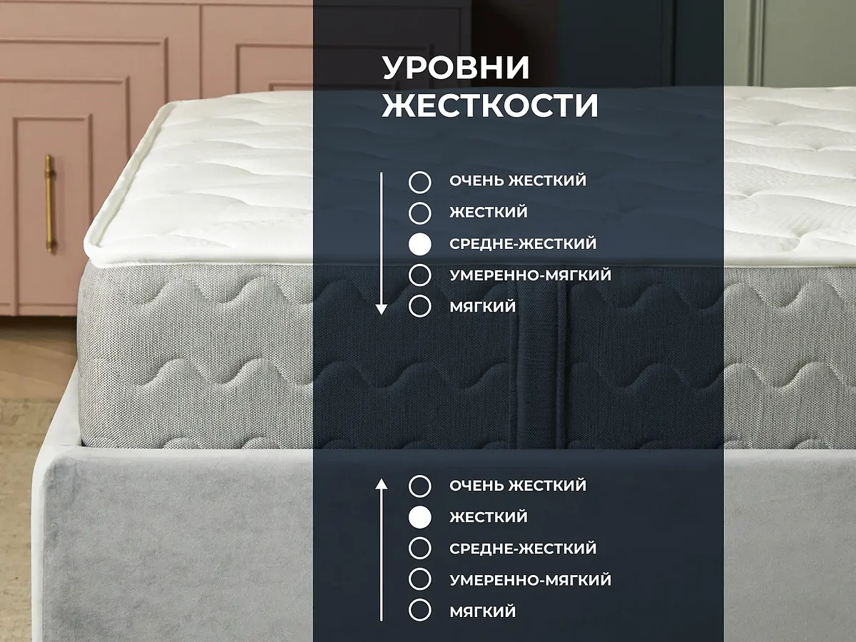 ������ Dimax �� ������� ����