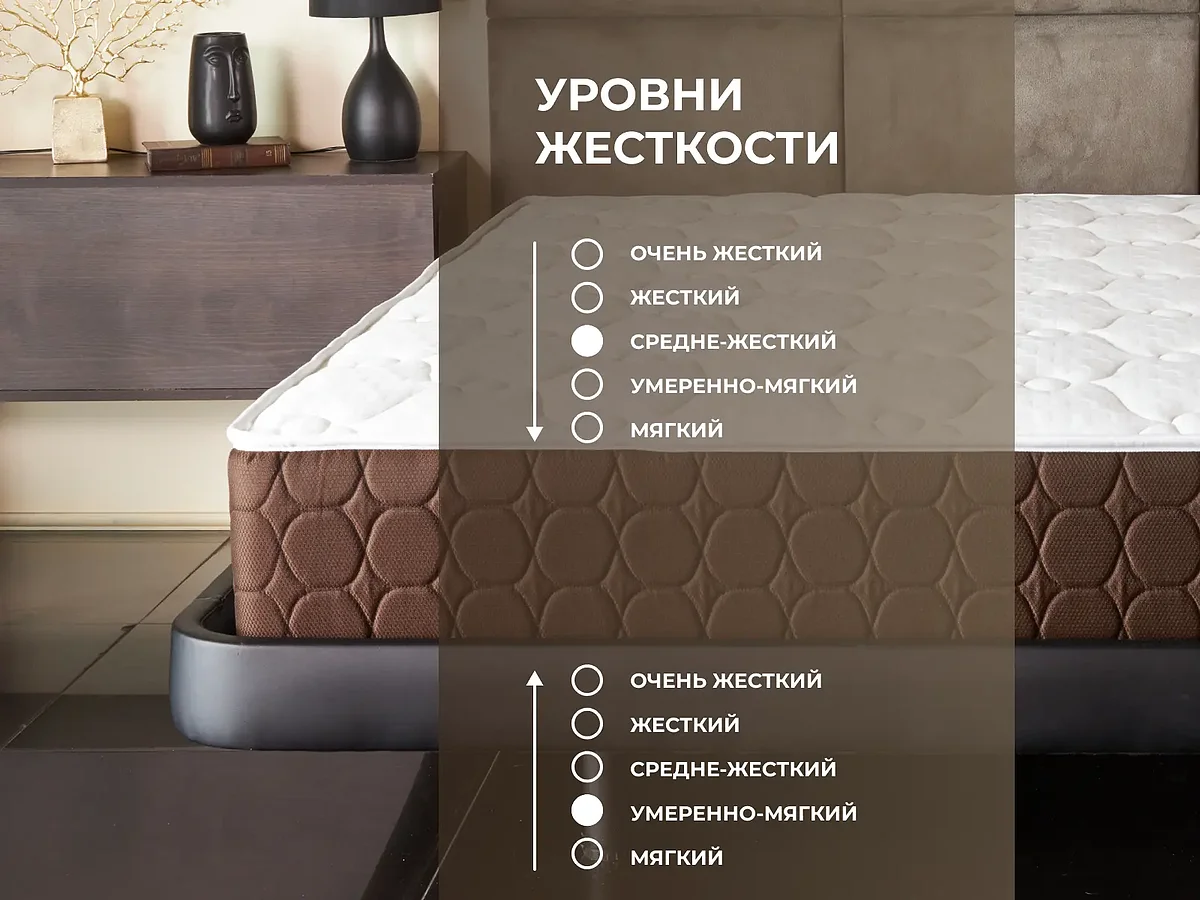 ������ Dimax ���� ���� �����