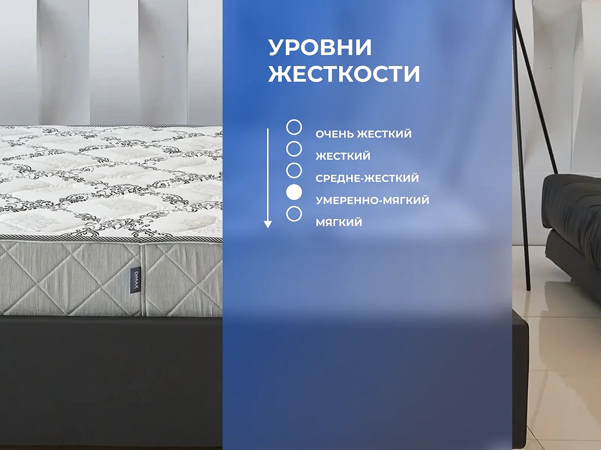 ������ Dimax ����� ���� ����