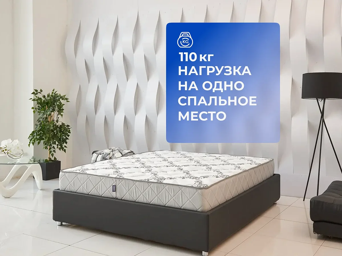 ������ Dimax ����� ���� ����