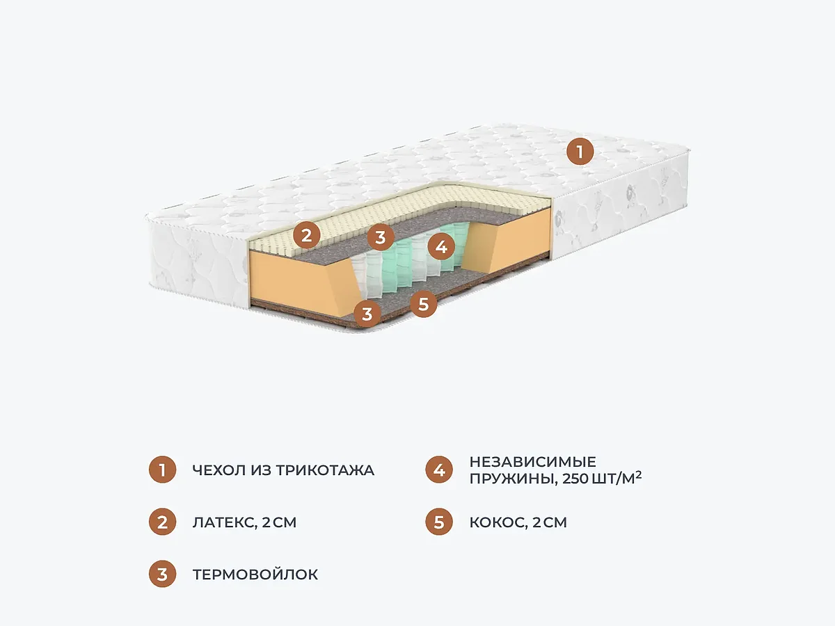 ������ Dimax �����