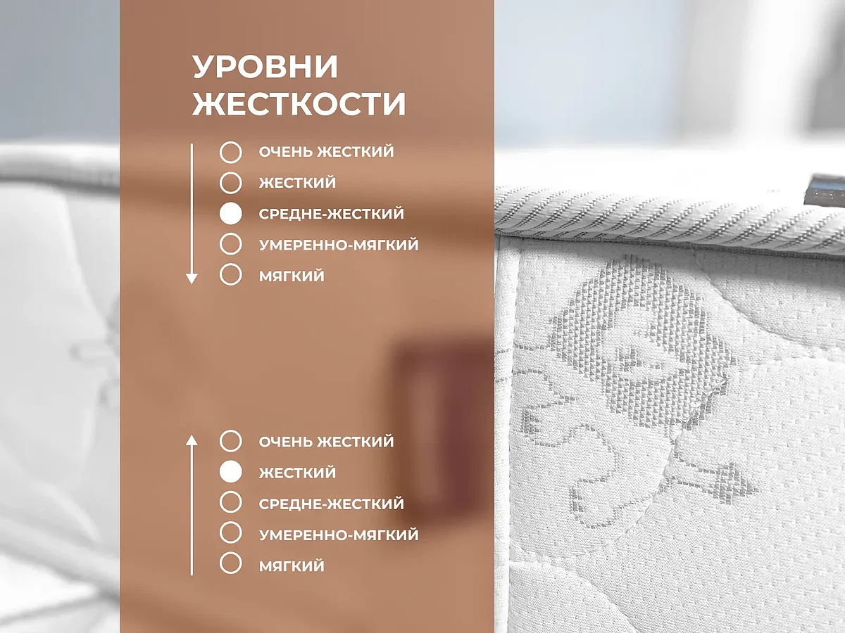 ������ Dimax �����