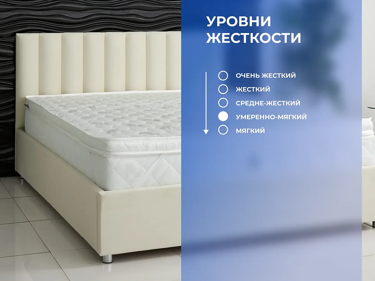 ������ Dimax ������ ���� P4