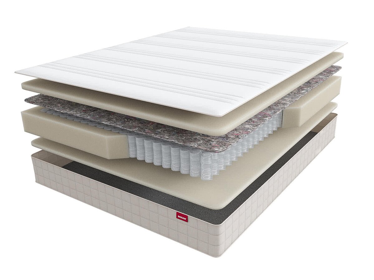 ������ Viking Ragnar