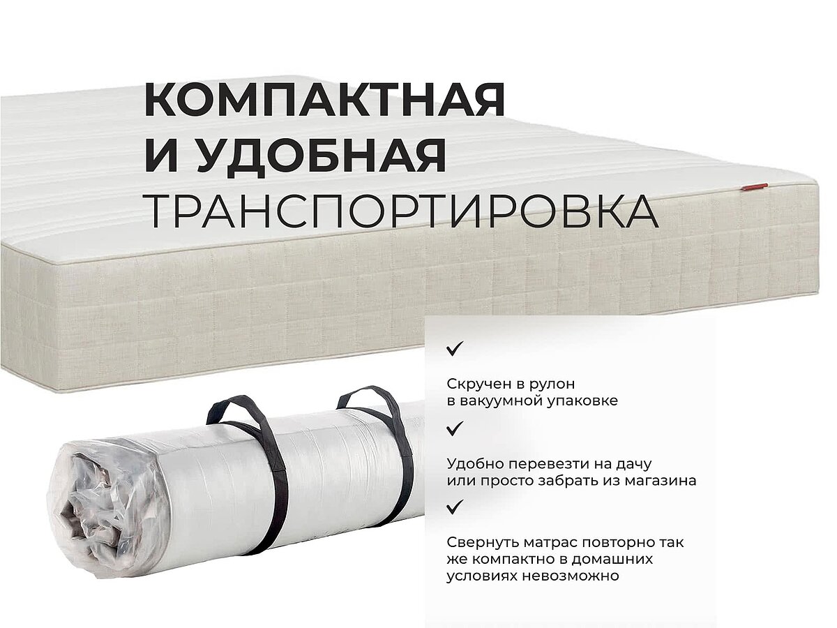 ������ Viking Ragnar