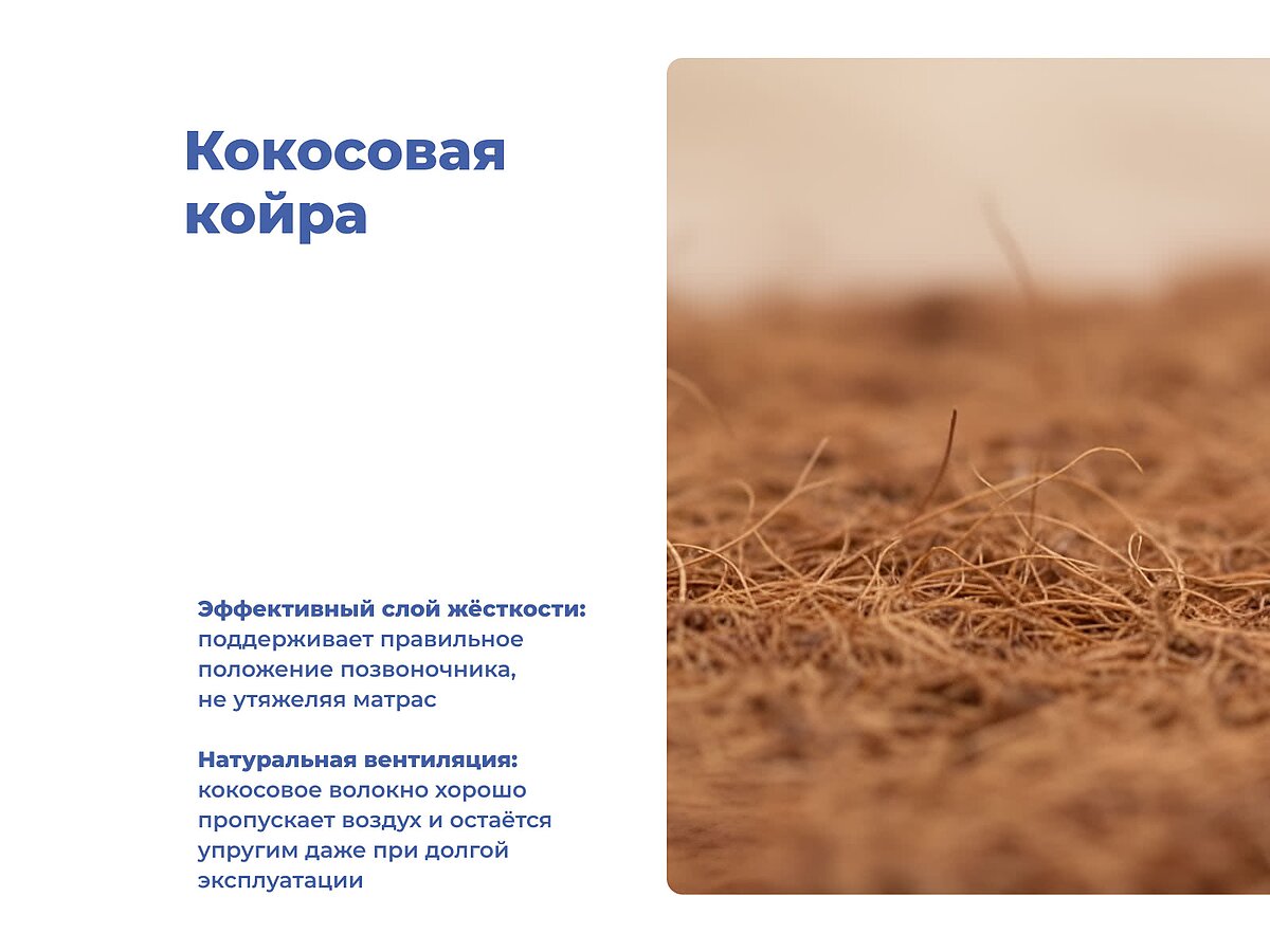  ProSon First Cocos Flat M