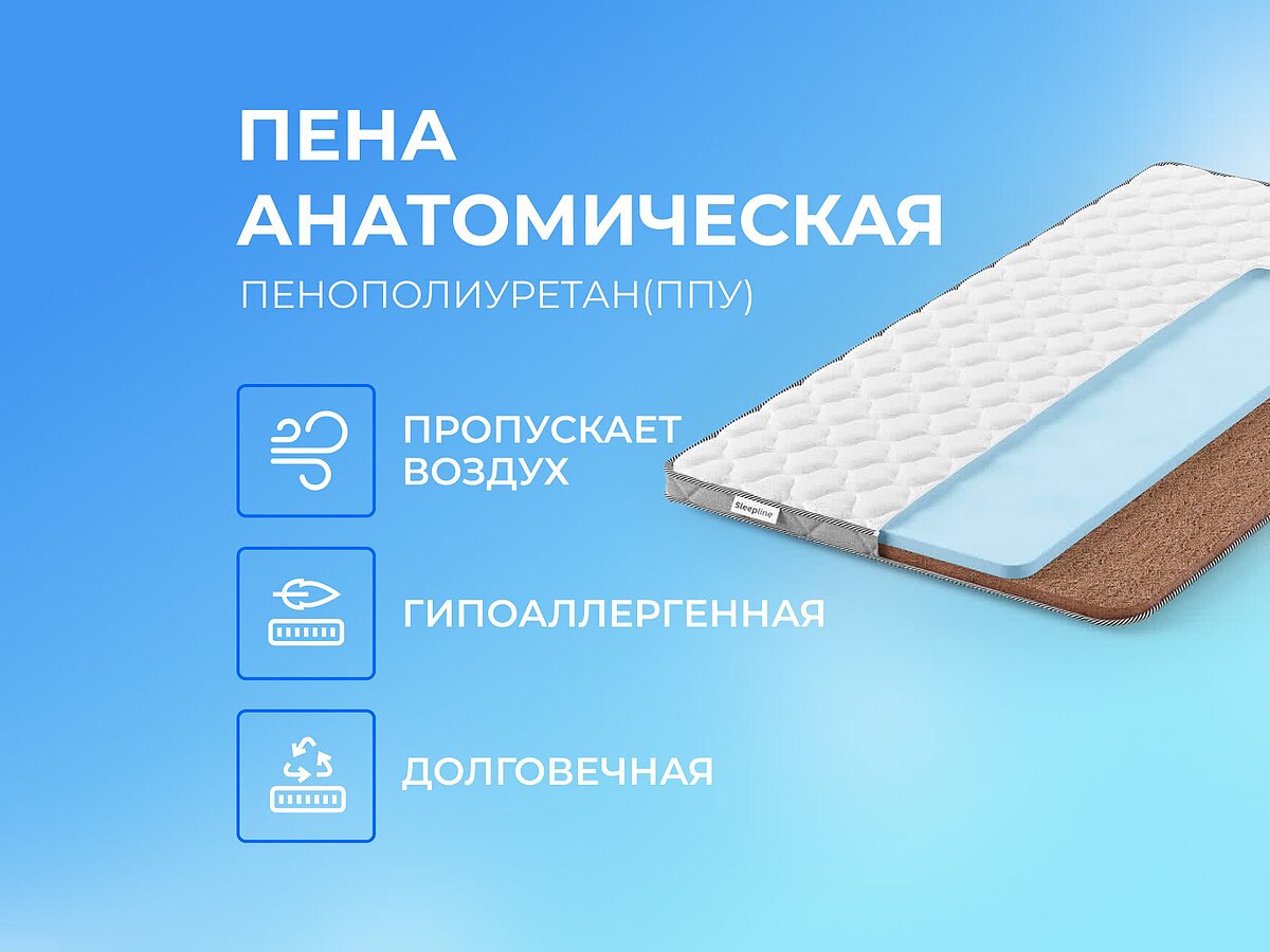 ������ Sleepline SleepTop ErgoCocos