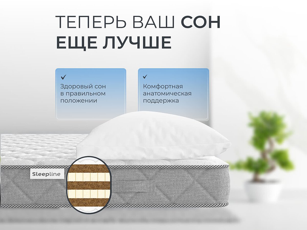 ������ Sleepline Zebra Hard