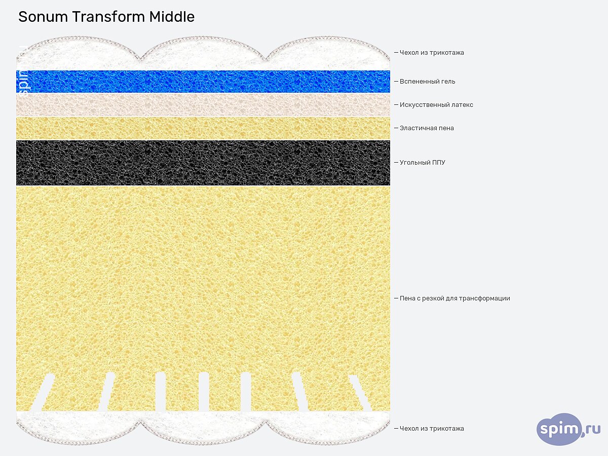  Sonum Transform Middle