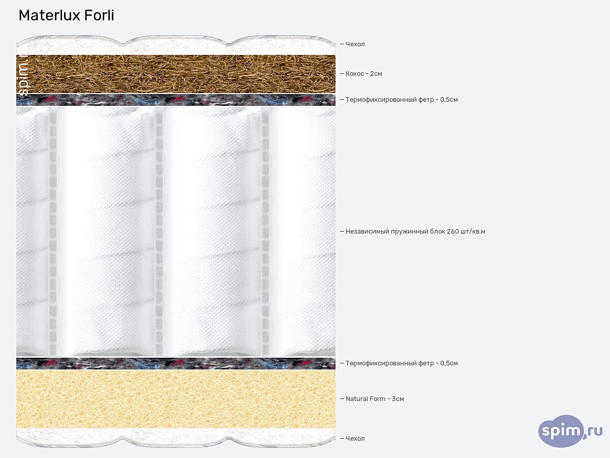 ������ MaterLux Forli