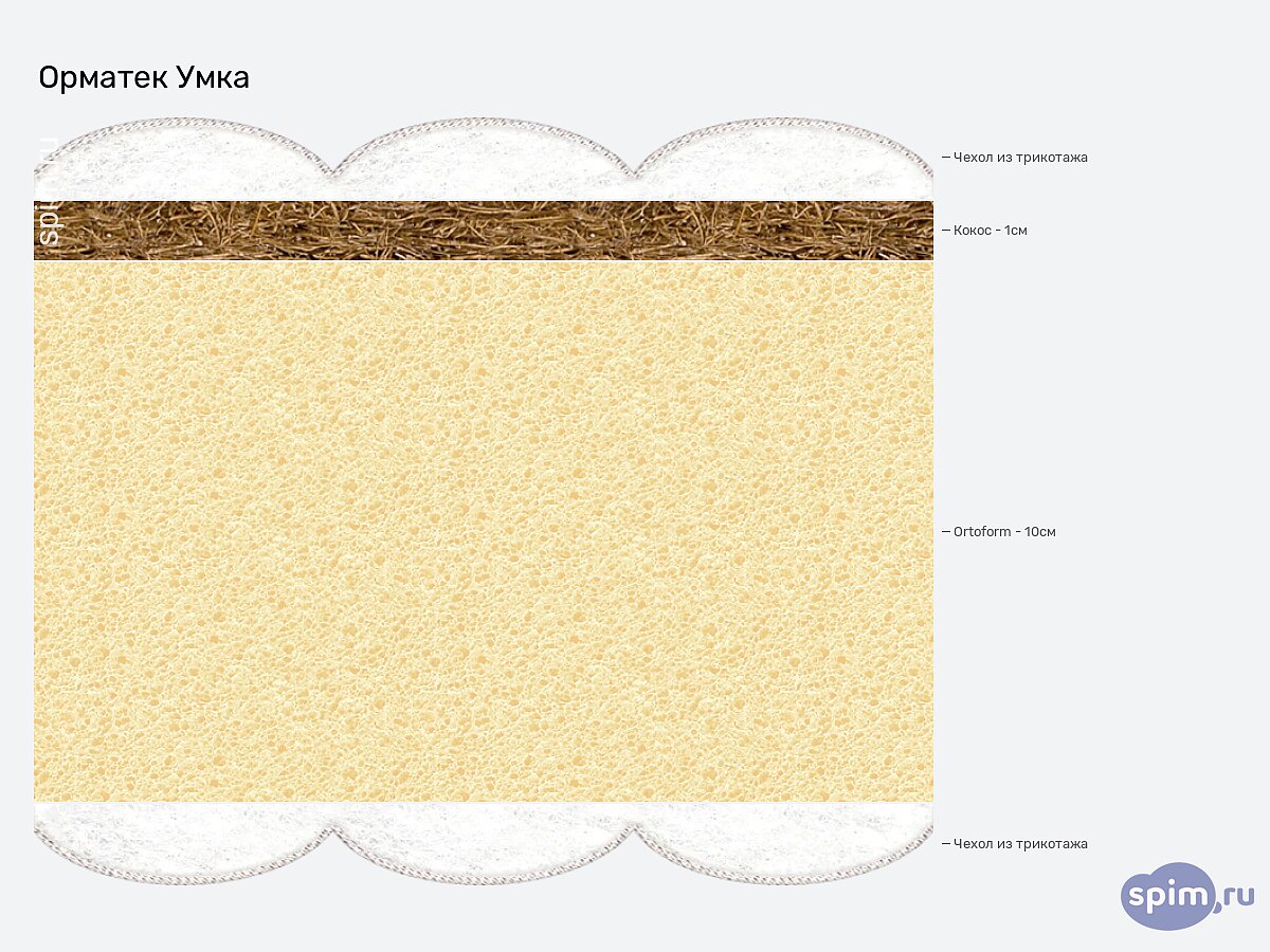 ������ ������� ����