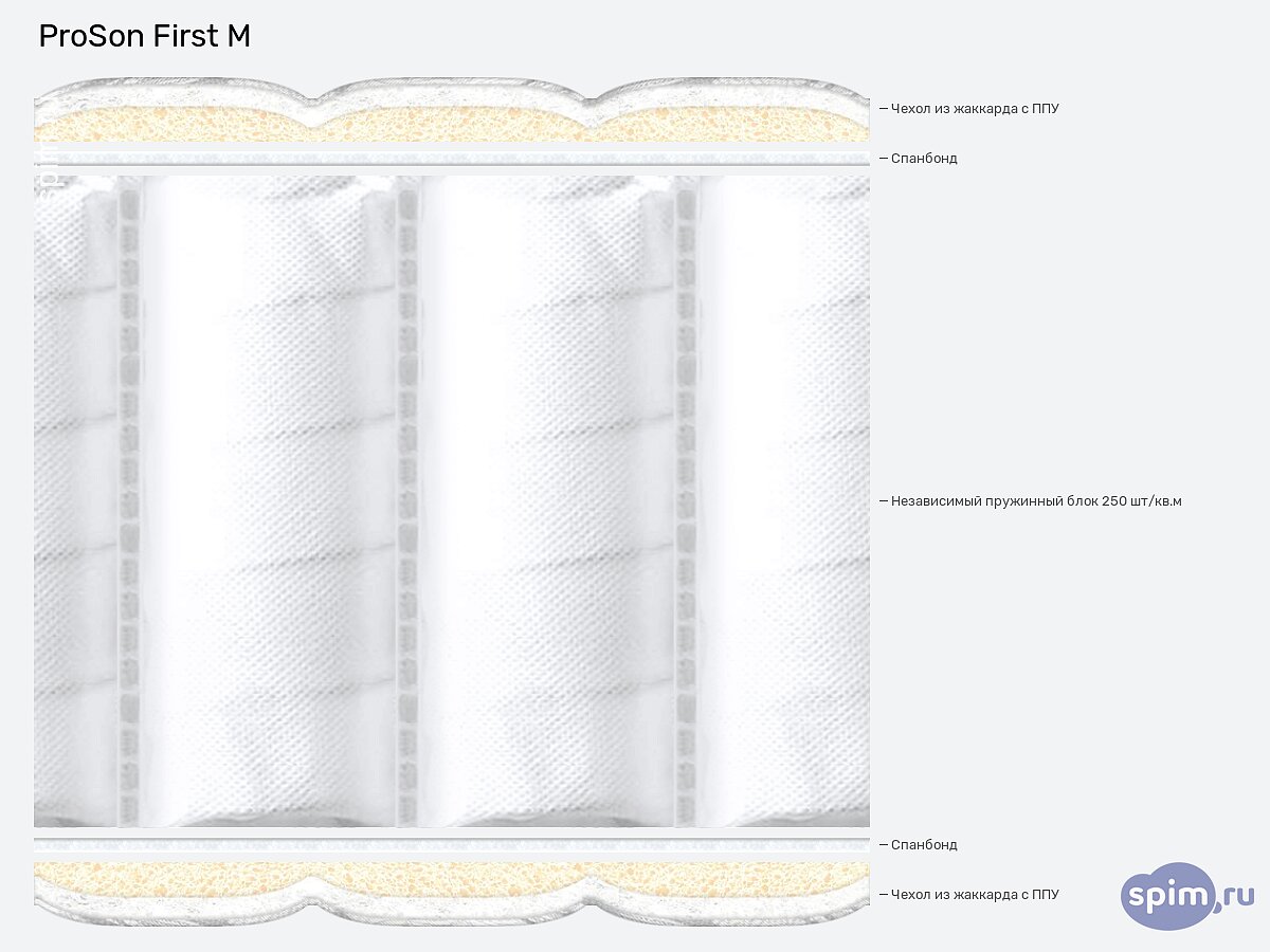 ������ ProSon First M