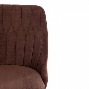 ���� ������������ Tetchair Swan