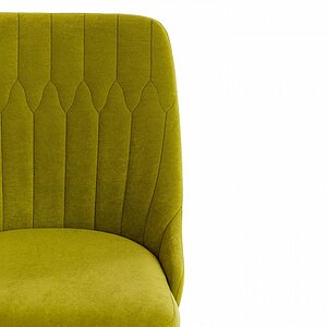 ���� ������������ Tetchair Swan