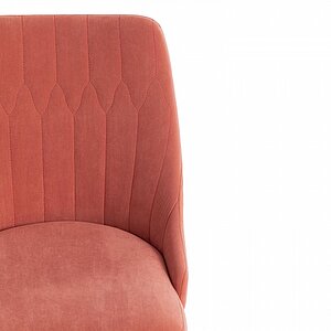 ���� ������������ Tetchair Swan