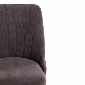 ���� ������������ Tetchair Swan