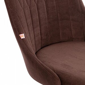 ���� ������������ Tetchair Swan