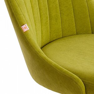 ���� ������������ Tetchair Swan