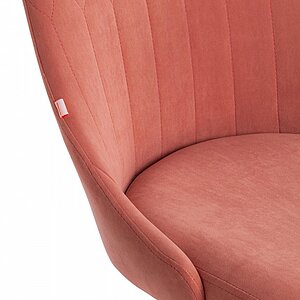 ���� ������������ Tetchair Swan